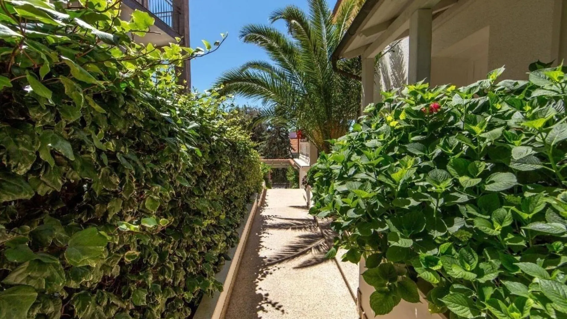 Apartment In Pjescana Uvala Mit Gemeinschaftspool PUY